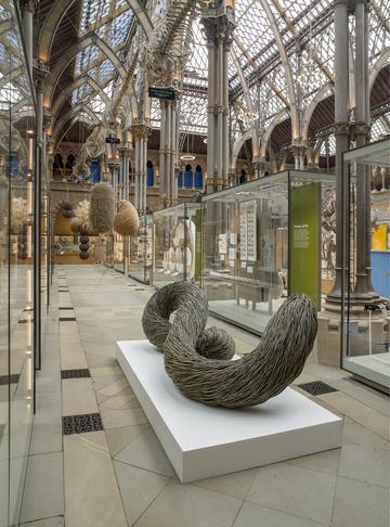 The Deadly Six - woven willow sculptures representing six diseases that The Oxford Vacine Group developed vaccines for.